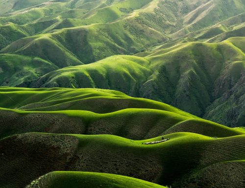 The endless green layers